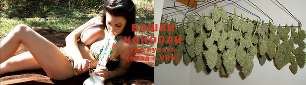 стафф Верея