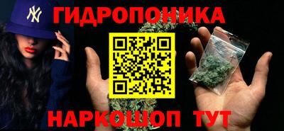 мяу мяу мука Гай