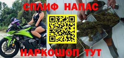 мяу мяу мука Гай